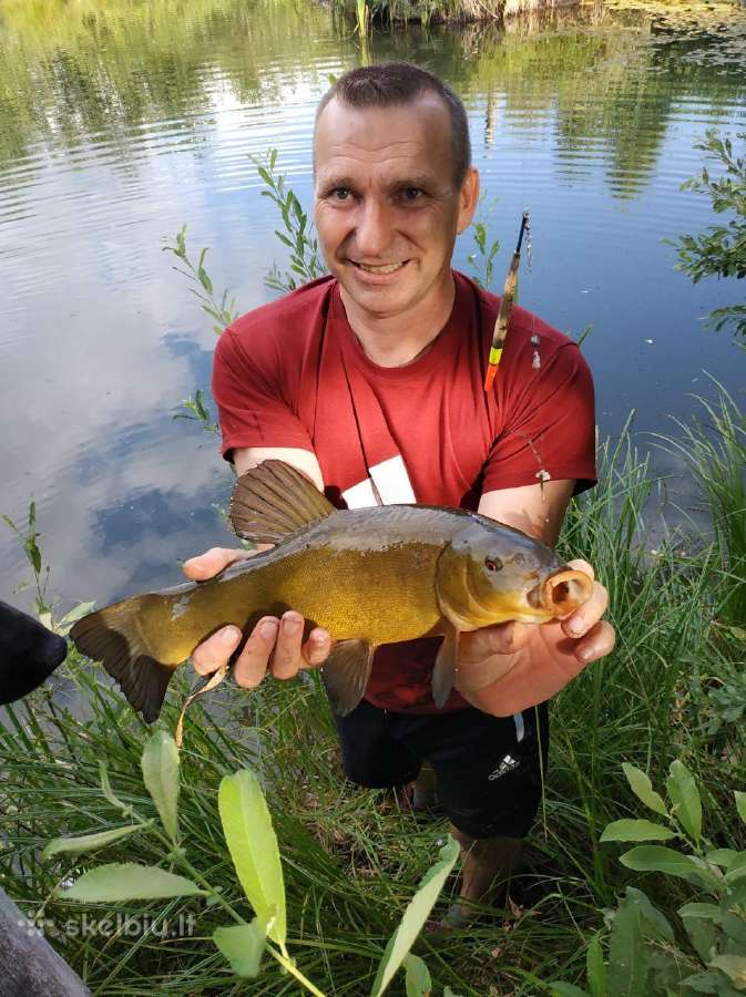 Sodyba Pirtis Kubilas prie Vilniaus (Minsko pl.) - nuotraukos Nr. 16
