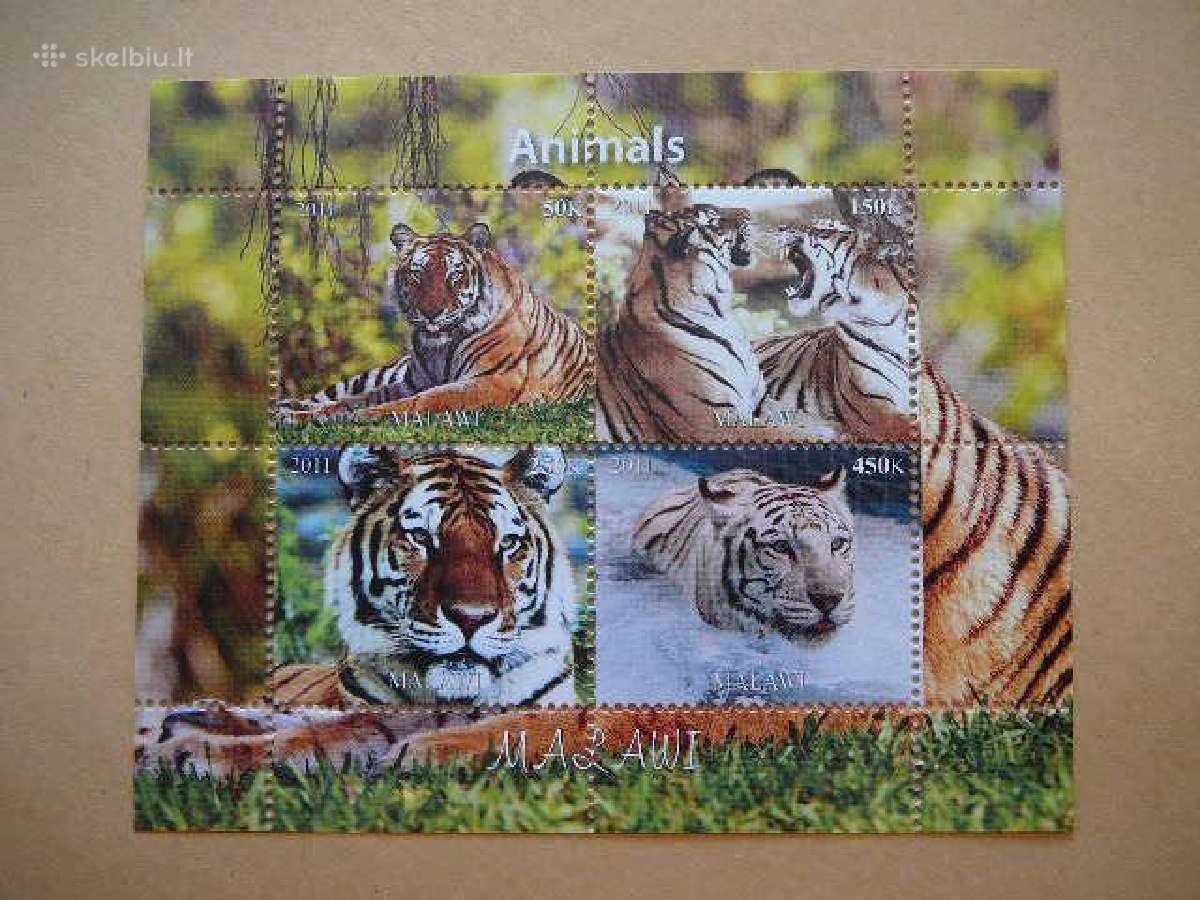 Tigrai Kates laukines Malavis 2011 Mnh m1910