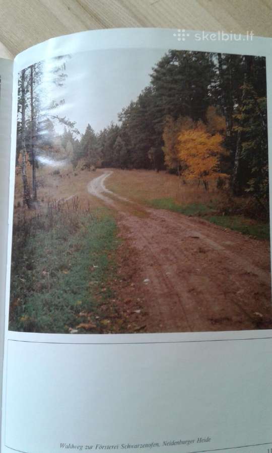 D.weld Rytų Prūsija anksčiau ir dabar 1981 m. - nuotraukos Nr. 7