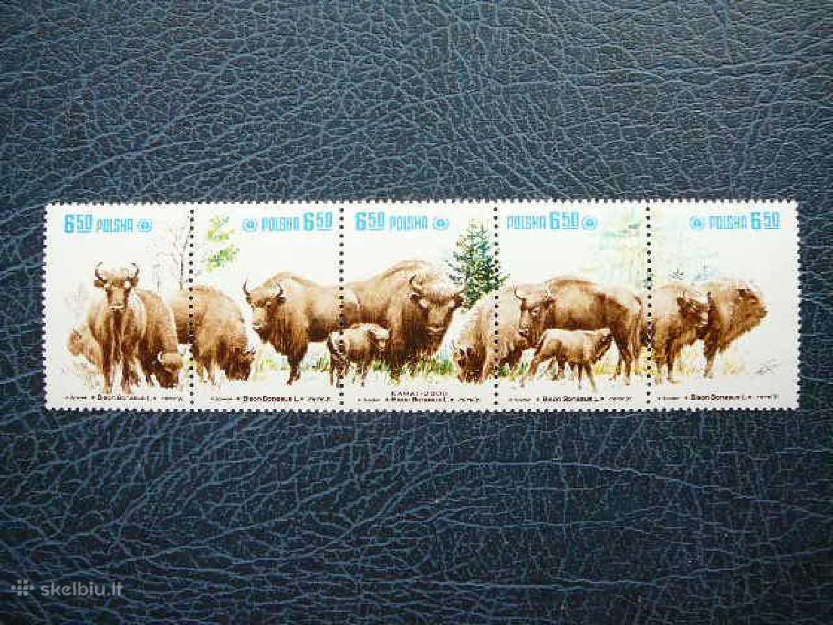 Stumbrai Lenkija Mnh pl609