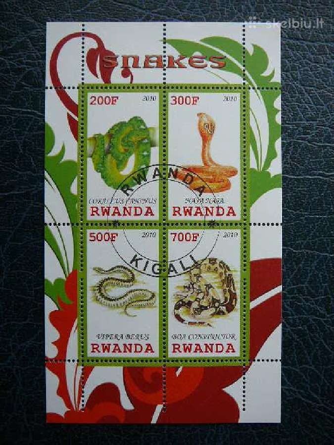 Gyvates Reptilijos Ruanda 2010 antsp. s662