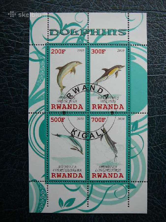Delfinai Ruanda 2010 antsp. s664