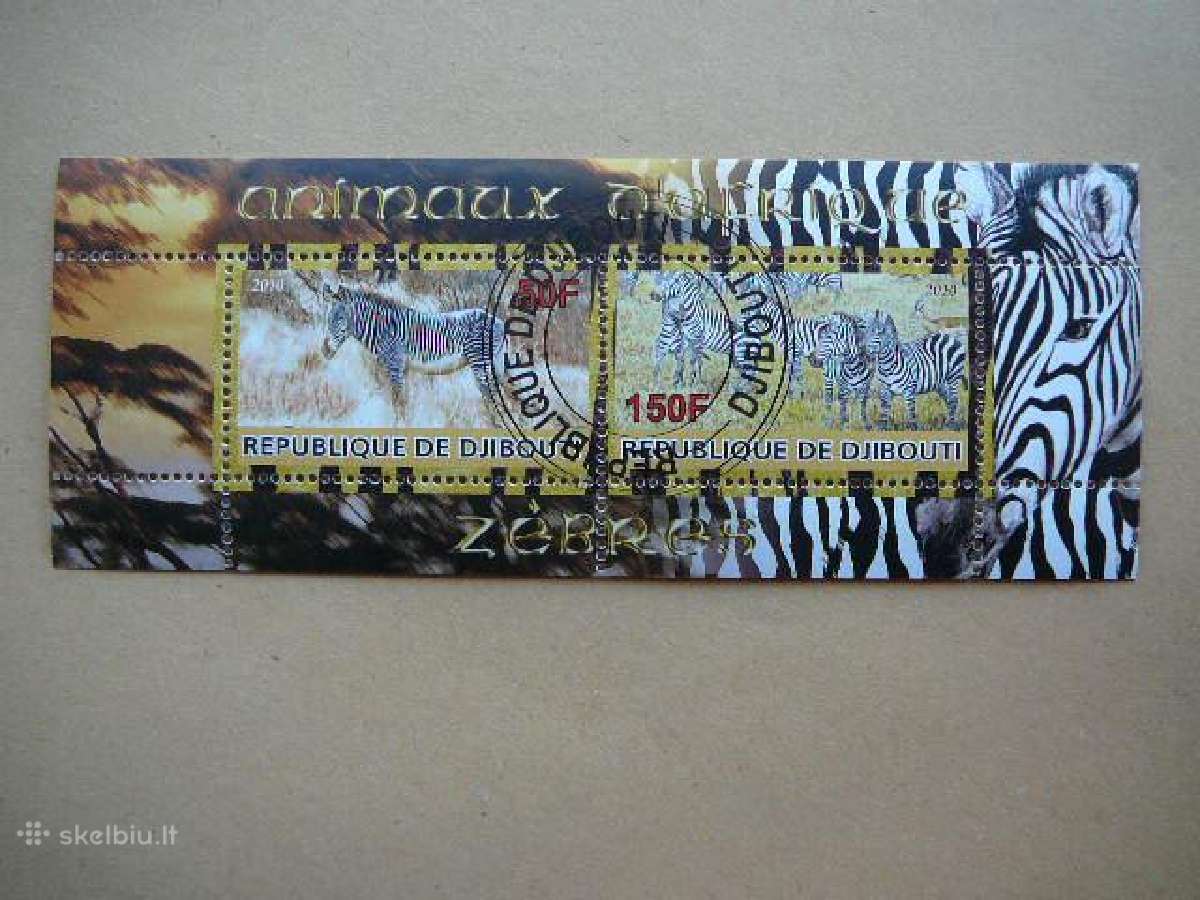 Zebrai Dzibutis 2010 antsp. s795
