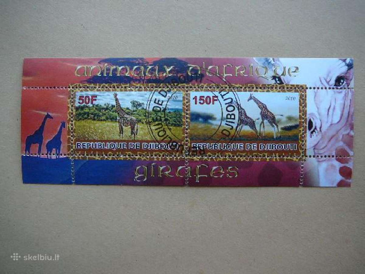 Zirafos Dzibutis 2010 antsp. s797