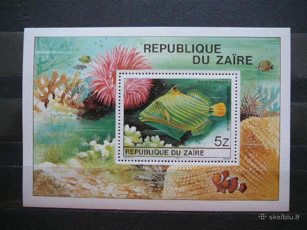 Zuvys Zairas (Kongas) 1980 zr605