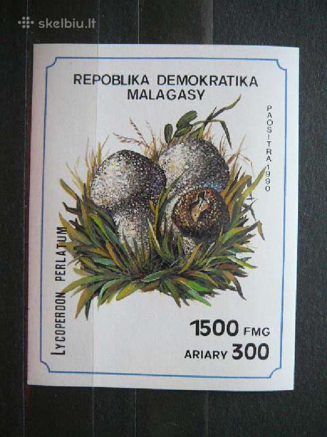 Grybai svarus mad534