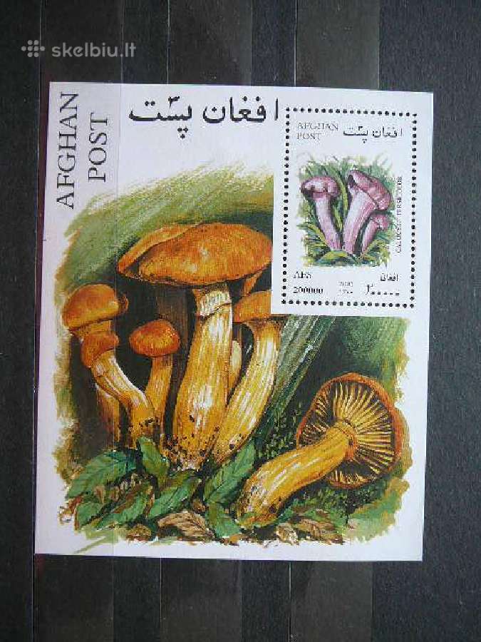 Grybai svarus afg725