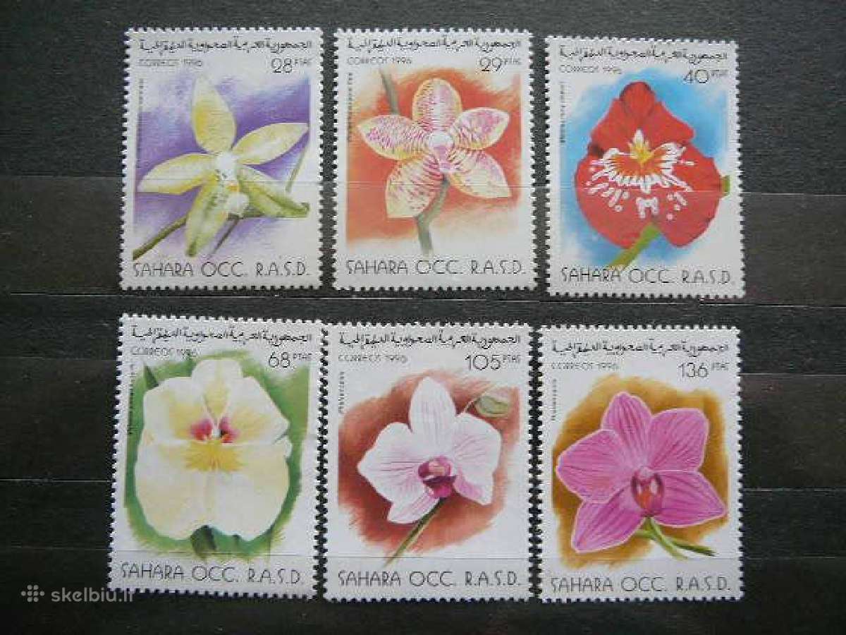 Orchidejos svarus sah582