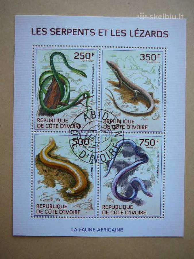 Gyvates Driezai Ivory Coast 2014 antsp. cdi216