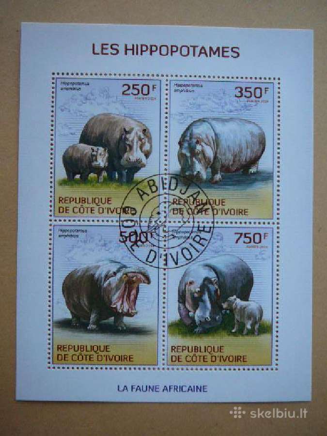 Begemotai Ivory Coast 2014 antsp. cdi222