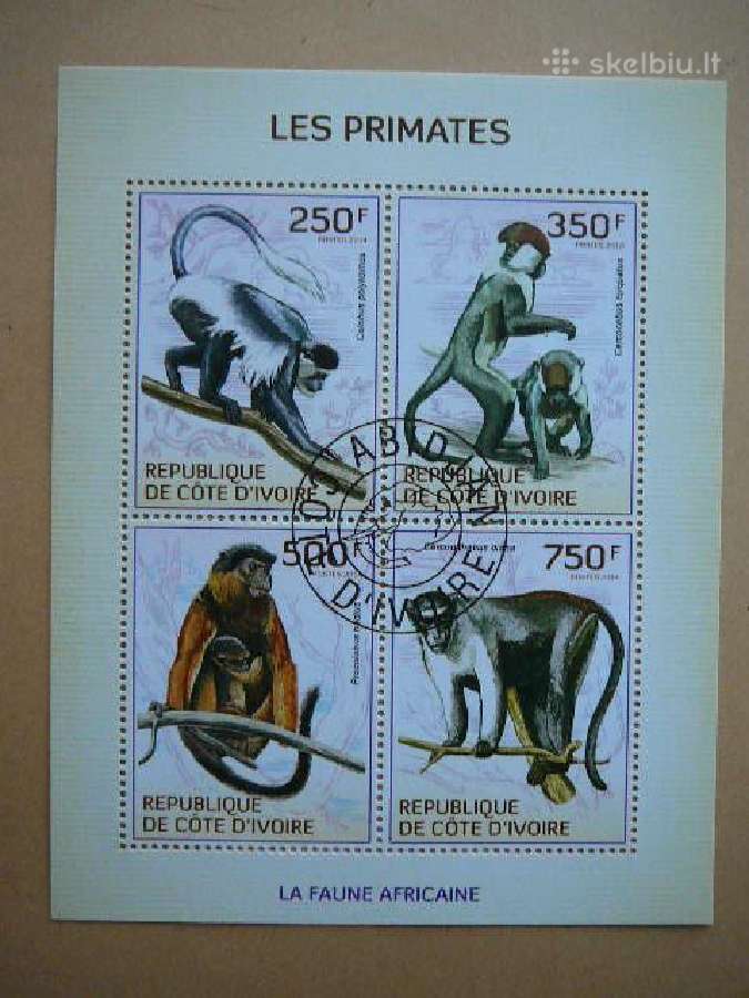 Bezdziones Ivory Coast 2014 antsp. cdi223