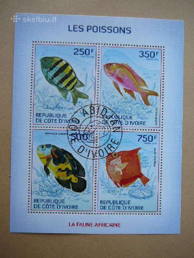 Zuvys Ivory Coast 2014 antsp. cdi224