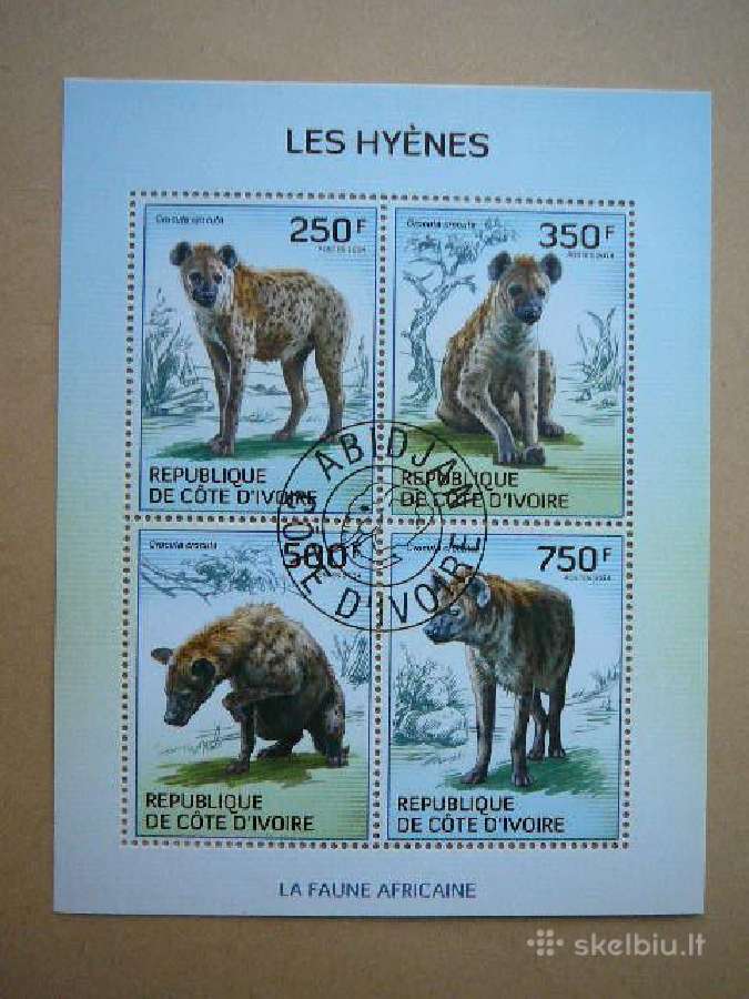Hienos Ivory Coast 2014 antsp. cdi225