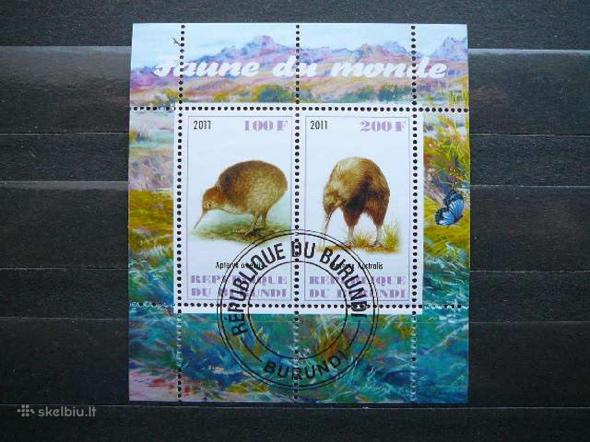 Kiviai Pauksciai Burundis 2011 antsp. g301