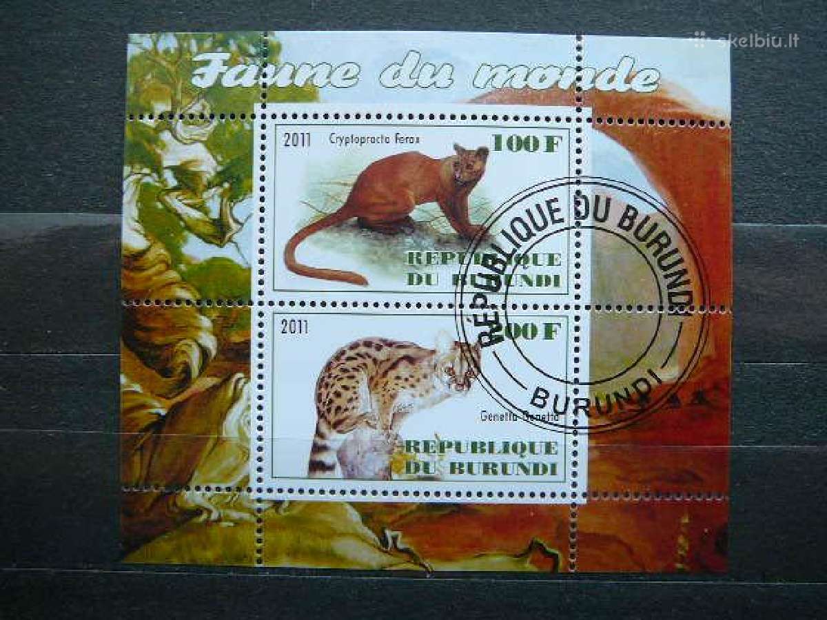 Kates laukines Burundis 2011 antsp. g305
