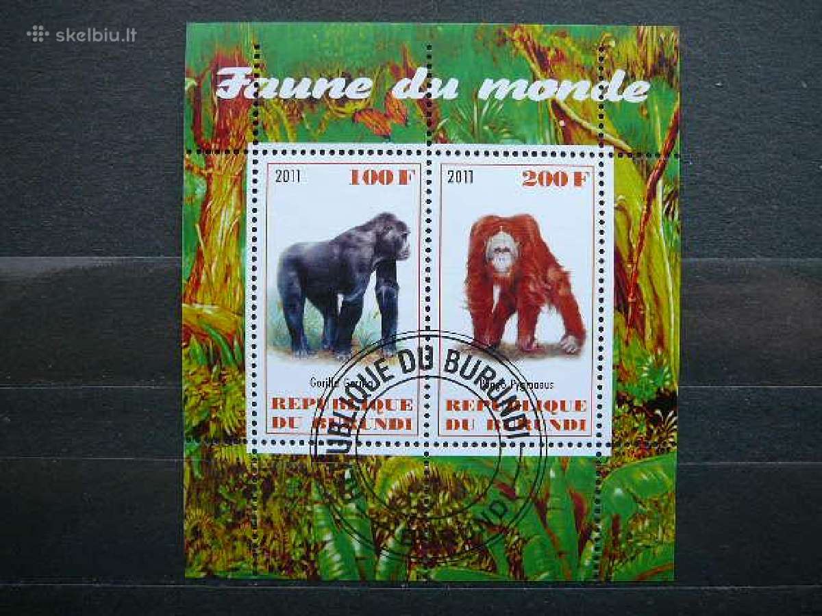 Bezdziones Burundis 2011 antsp. g306