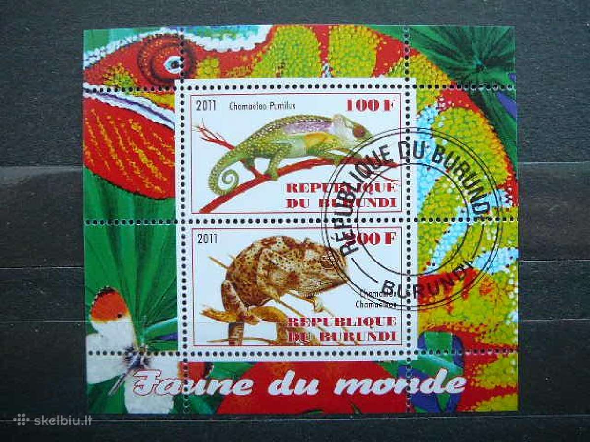 Chameleonai Burundis 2011 antsp. g308