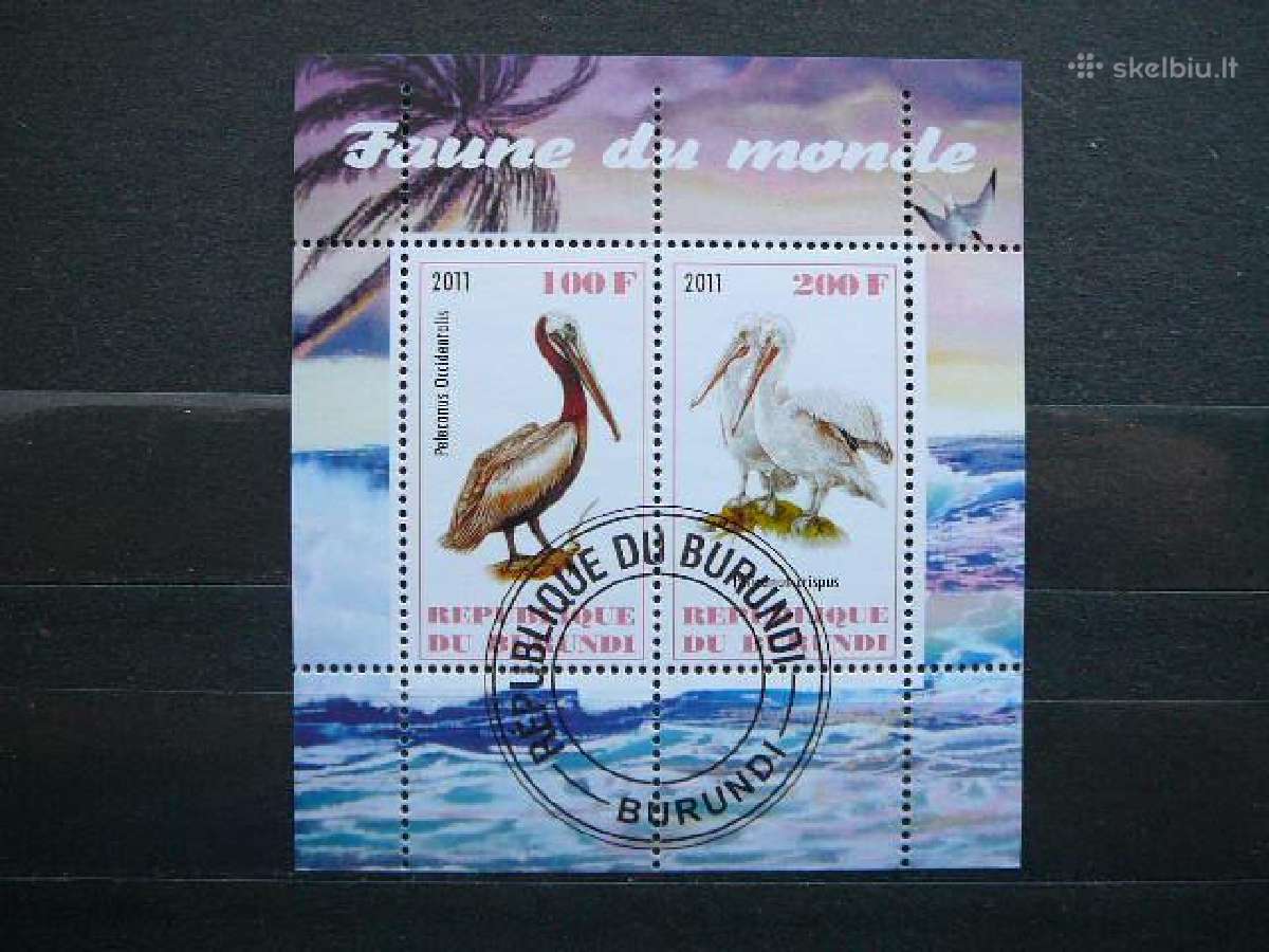 Pelikanai Pauksciai Burundis 2011 antsp. g310