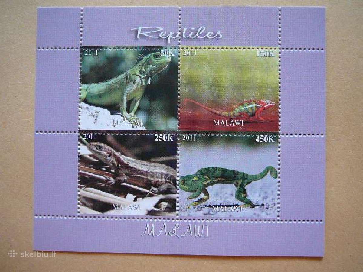 Driezai Ropliai Malavis 2011 svarus m1413