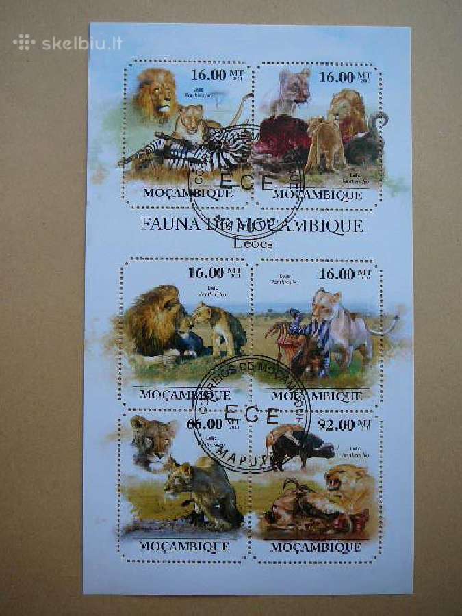 Liutai Kates laukines Mozambikas 2011 antsp. mb476