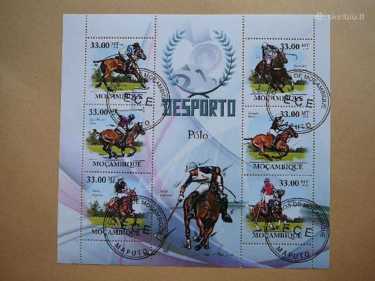 Arkliai Polo Mozambikas 2010 antsp. mb499
