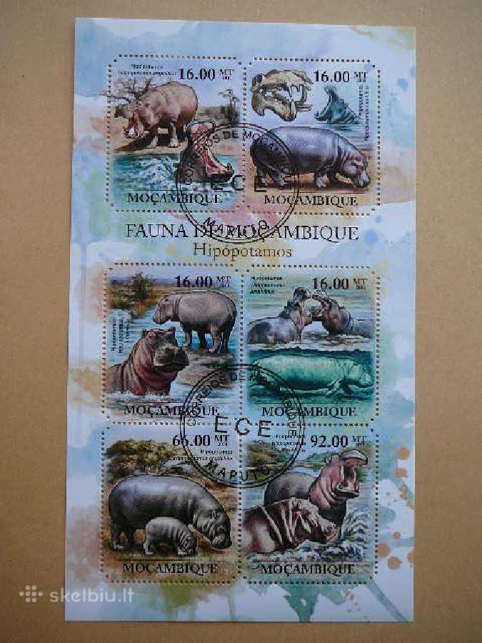 Begemotai Mozambikas 2011 antsp. mb502