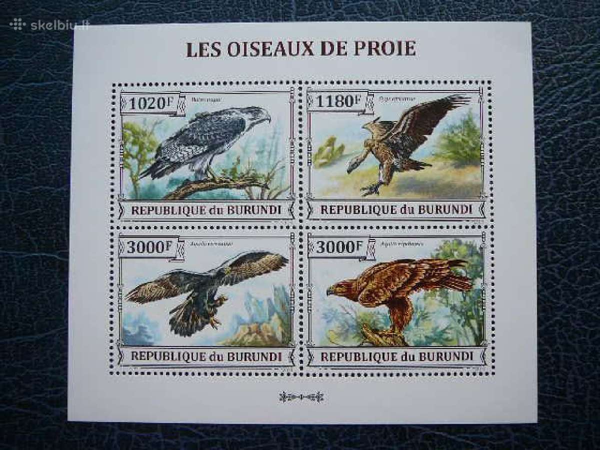 Pauksciai plesrus svarus bur136