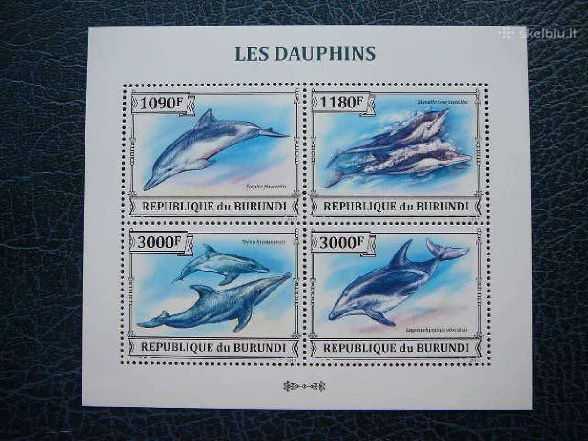 Delfinai svarus bur138