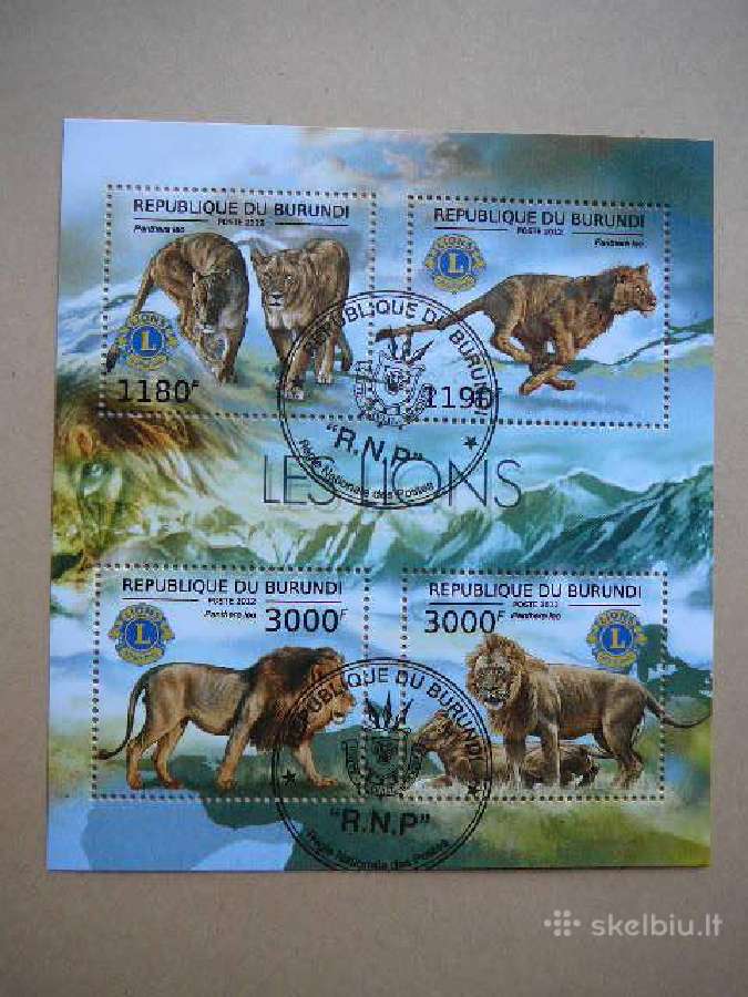 Liutai Kates laukines Burundis antsp. bur557