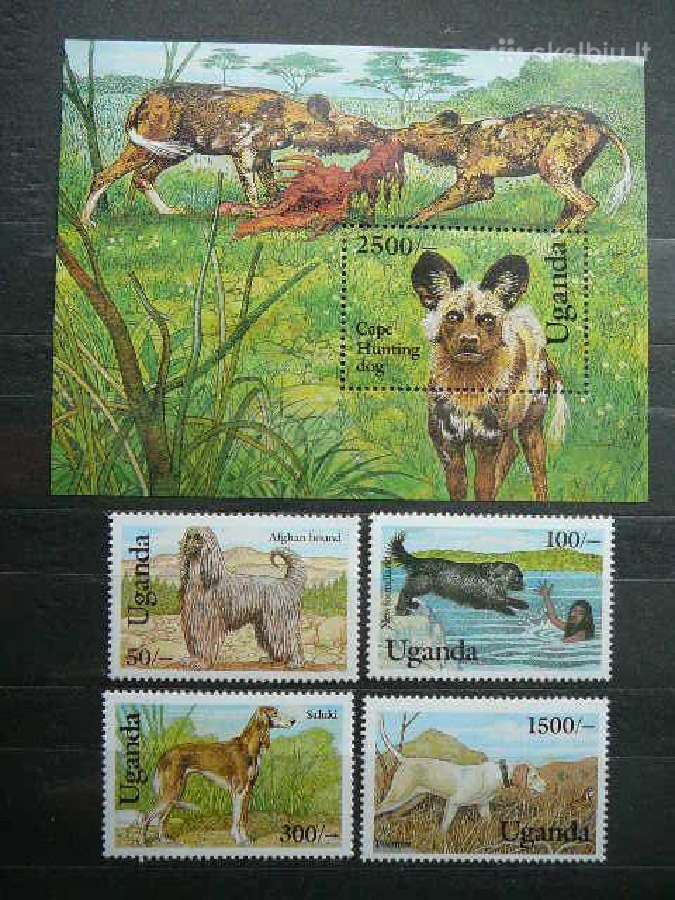 Sunys Uganda svarus ug556