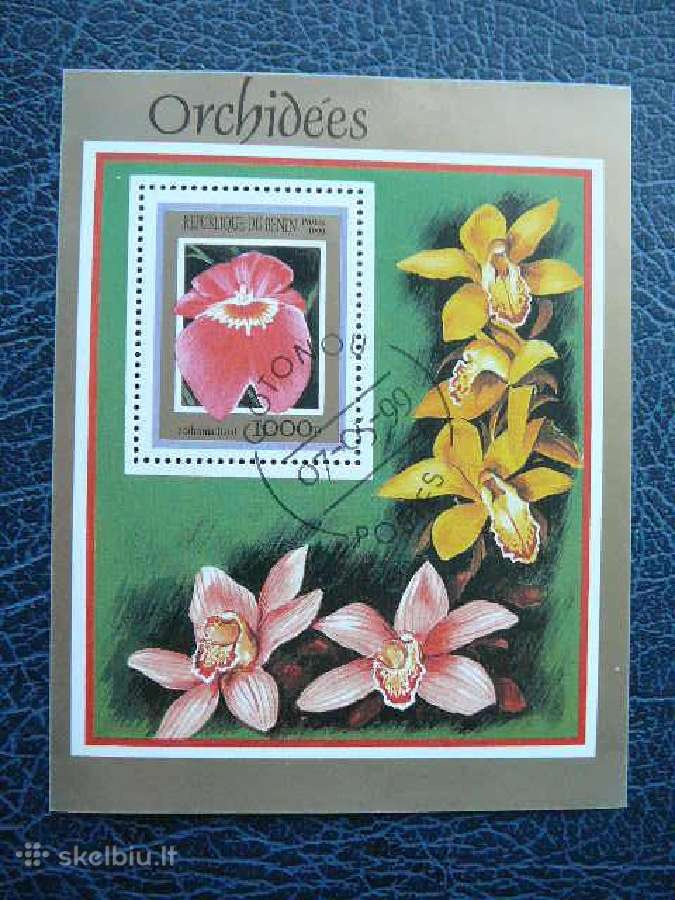 Orchidejos blk727