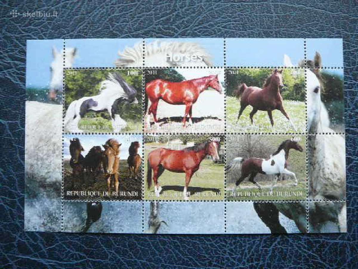 Arkliai Burundis 2011 svarus ak1568