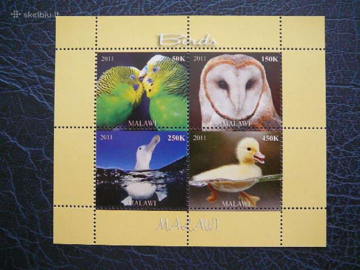 Pauksciai Peledos Papugos Malavis 2011 Mnh d1866