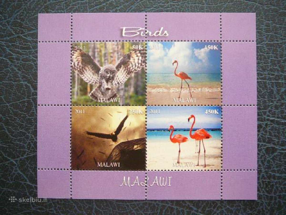 Pauksciai Peledos Flamingai Malavis 2011 Mnh d1867