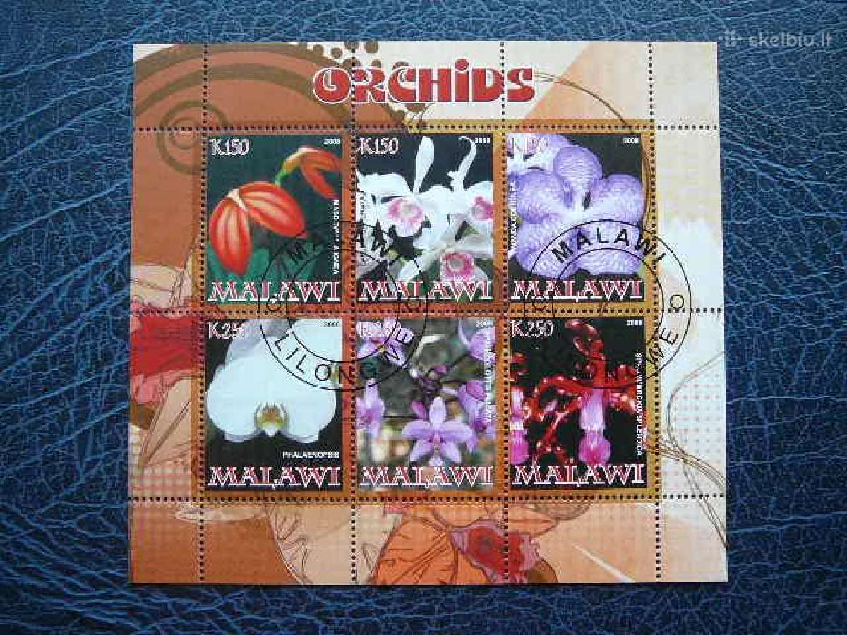 Orchidejos Geles Malavis 2008 antsp. s189