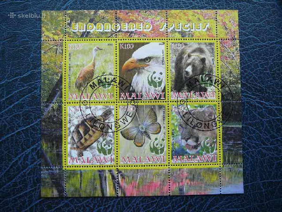 Pauksciai Meskos Drugeliai Malavis 2008 antsp s243