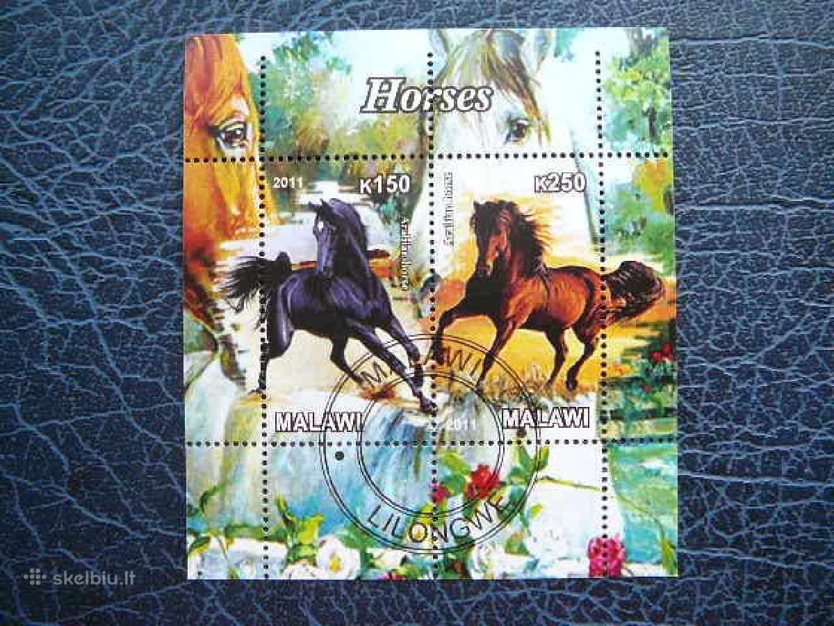 Arkliai Malavis 2011 antsp. g446
