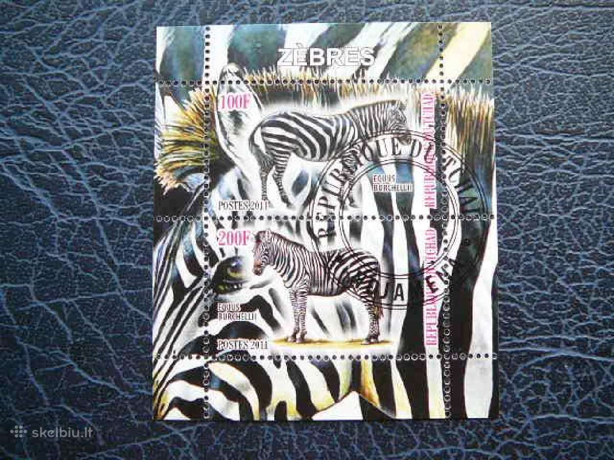 Zebrai Cadas 2011 antsp. g514