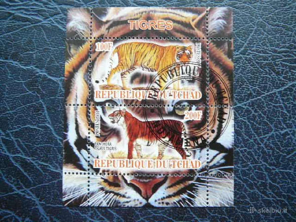 Tigrai Kates laukines Cadas 2011 antsp. g518