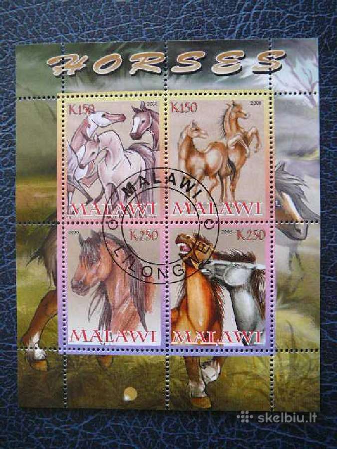 Arkliai antsp. s179