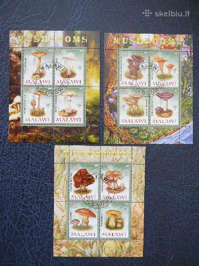 Grybai Malavis 2008 antsp. s248/0