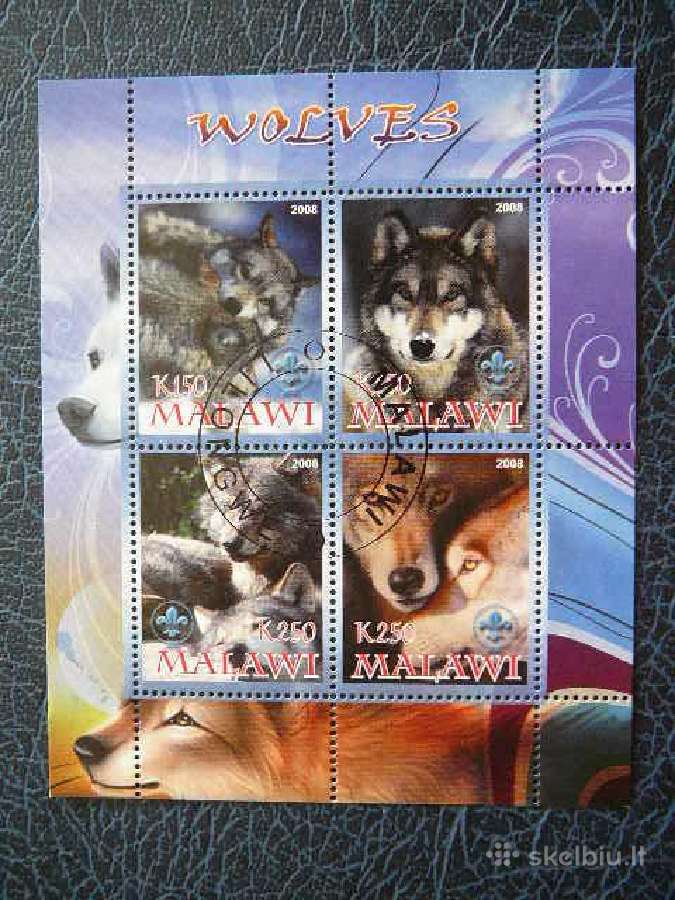 Vilkai Malavis 2008 antsp. s340
