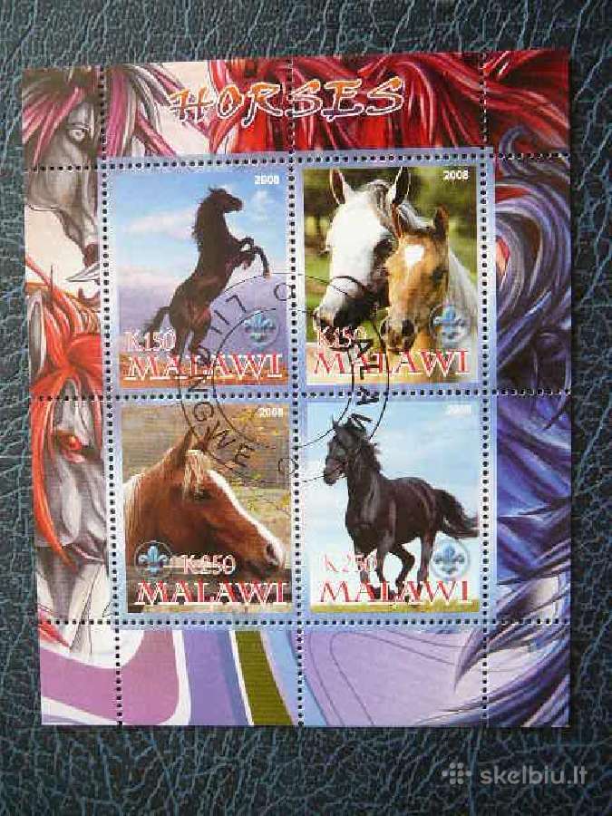 Arkliai Malavis 2008 antsp. s341