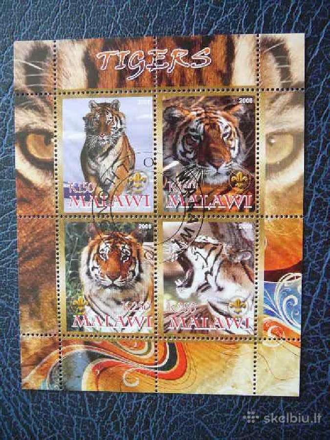 Tigrai Kates laukines Malavis 2008 antsp. s342