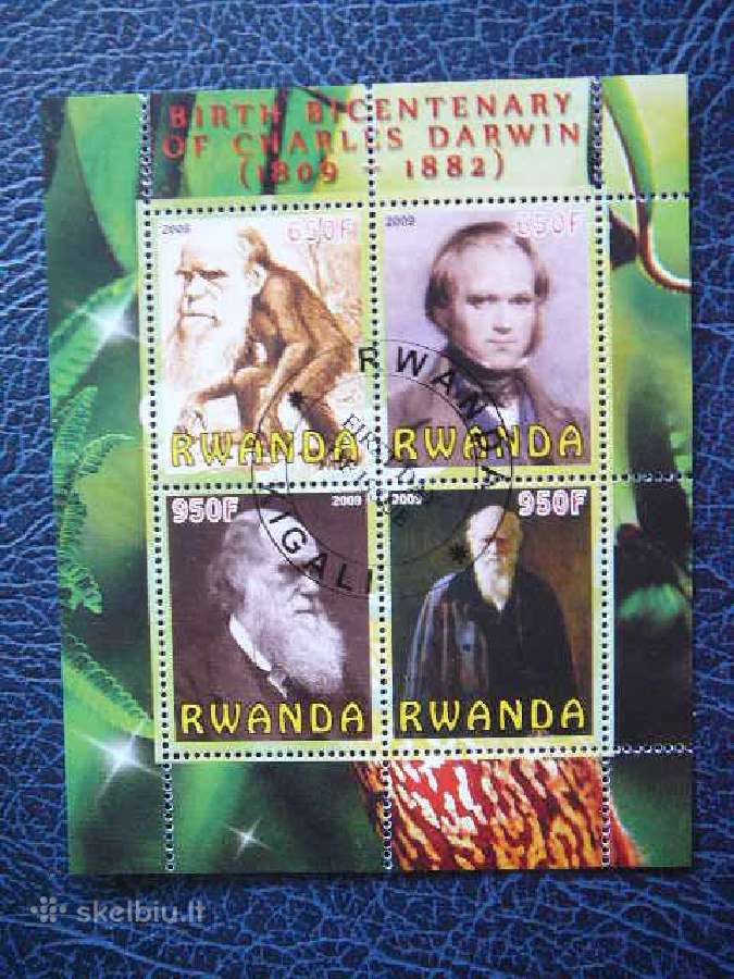 C. Darvinas Ruanda 2009 antsp. s383