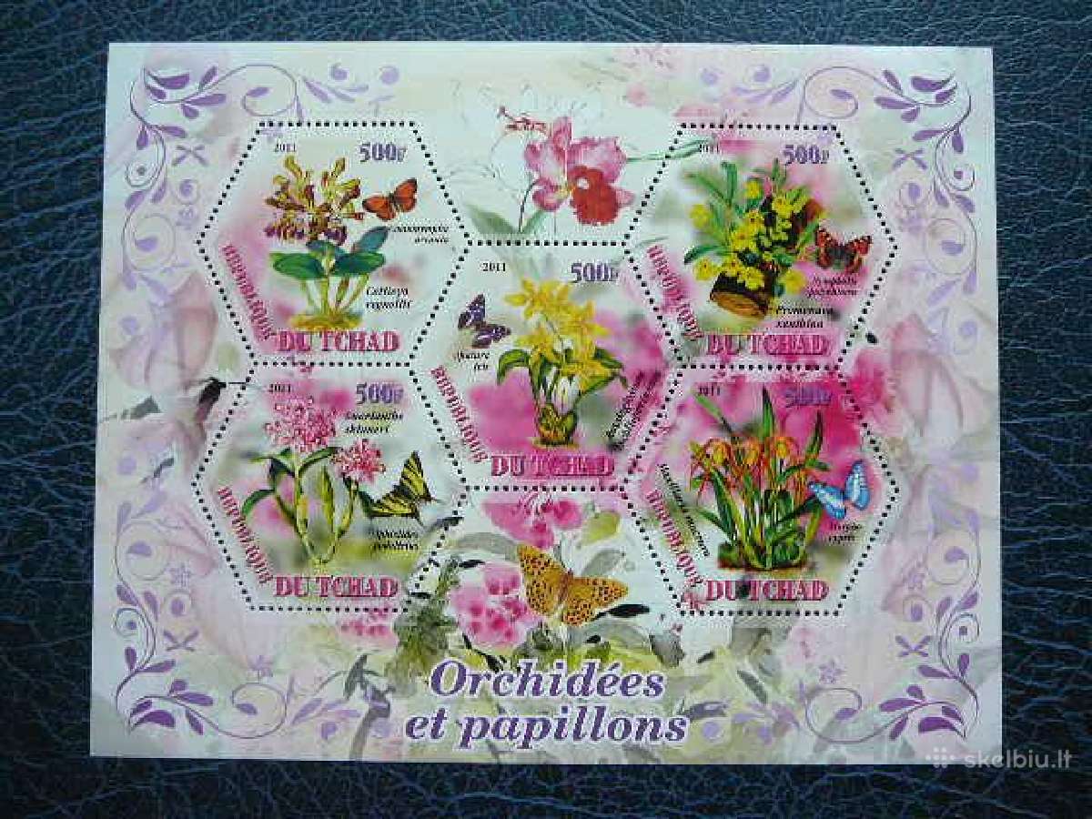 Drugeliai Orchidejos svarus tch1139