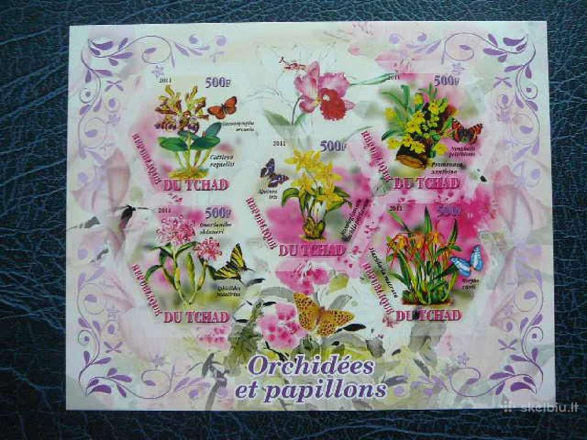 Drugeliai Orchidejos svarus tch1139 bd