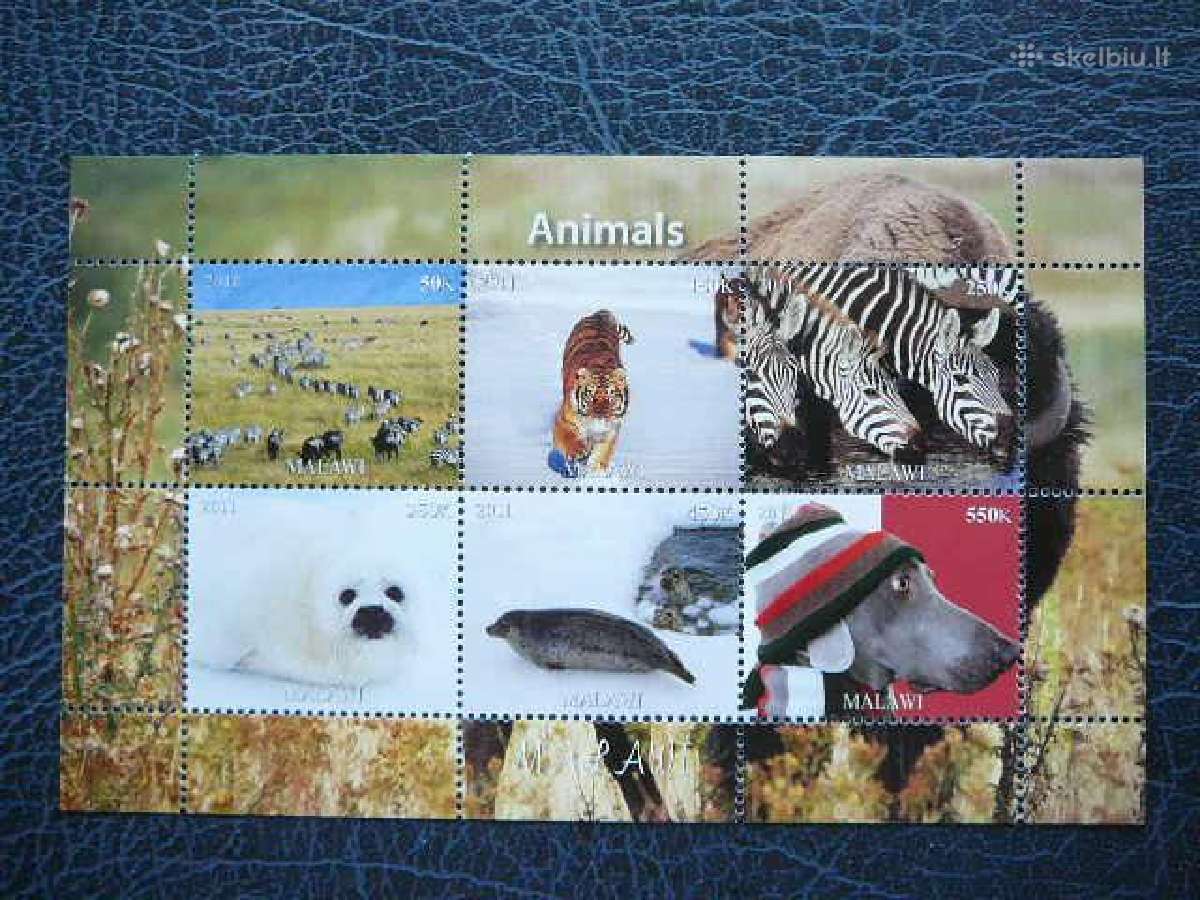 Zebrai Ruoniai Tigrai Malavis 2011 Mnh m1883