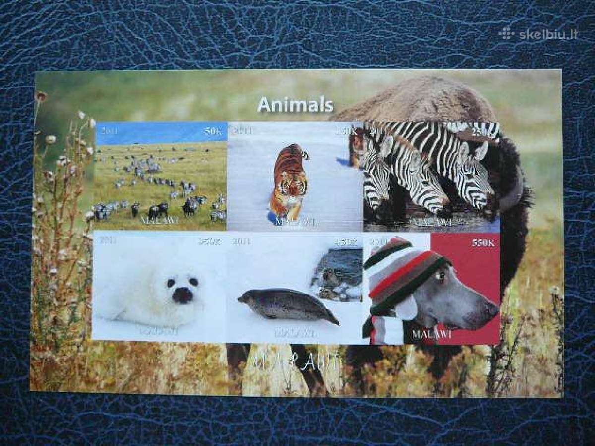 Zebrai Ruoniai Tigrai Malavis 2011 Mnh m1883b