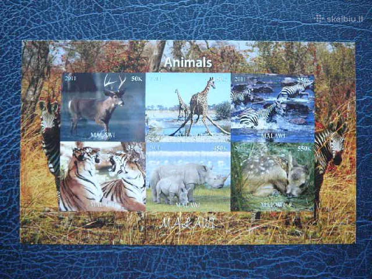 Zirafos Tigrai Raganosiai Malavis 2011 Mnh m1884b